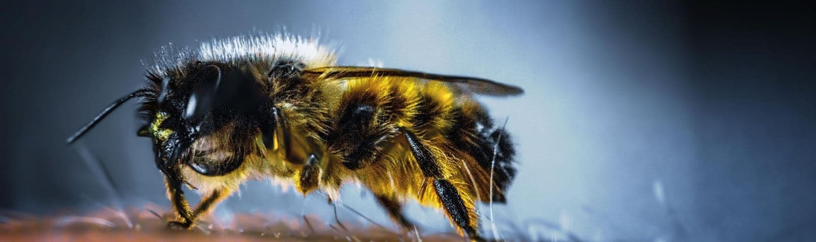 Back to basics: Understanding microaggressions